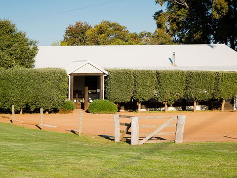 Vasse Virgin - Surfers Gold Coast 1