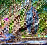 Wagirra Trail and Yindyamarra Sculpture Walk - Surfers Gold Coast