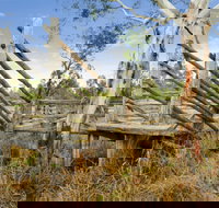 Wandoan - Surfers Gold Coast