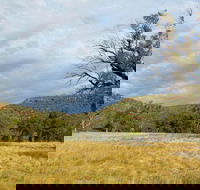 Weddin Mountains National Park - Surfers Gold Coast