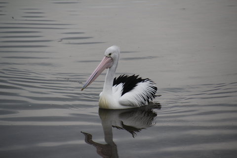 Woolley's Beach Walk - Surfers Gold Coast 1