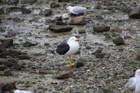 Woolley's Beach Walk - Surfers Gold Coast 2