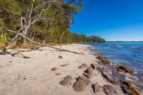 Barfleur Beach - Surfers Gold Coast 0