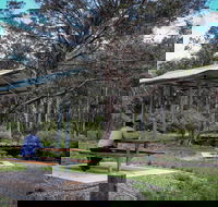 Barrington Tops State Forest - Surfers Gold Coast