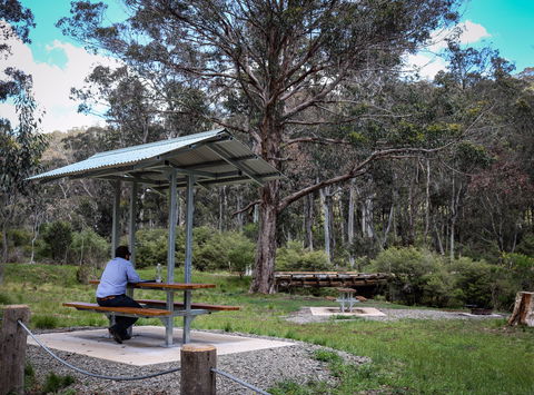 Barrington Tops State Forest - Surfers Gold Coast 0
