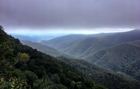 Barrington Tops State Forest - Surfers Gold Coast 2