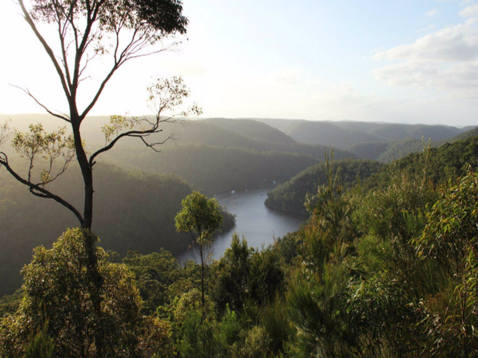 Pennant Hills NSW Surfers Gold Coast