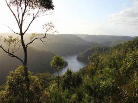 Berowra Valley National Park - Surfers Gold Coast 0