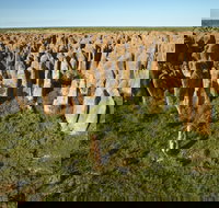 Borroloola - Surfers Gold Coast