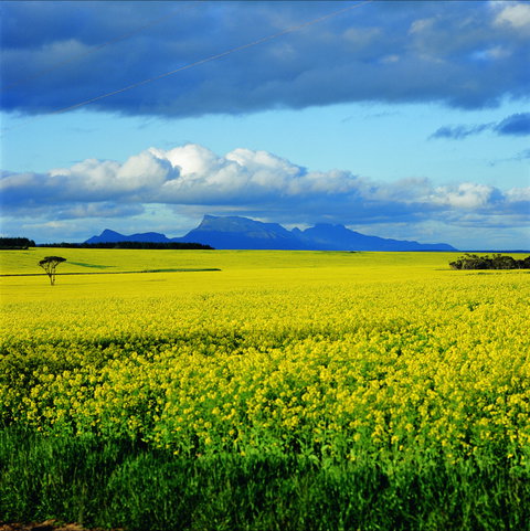 Borden - Surfers Gold Coast 0