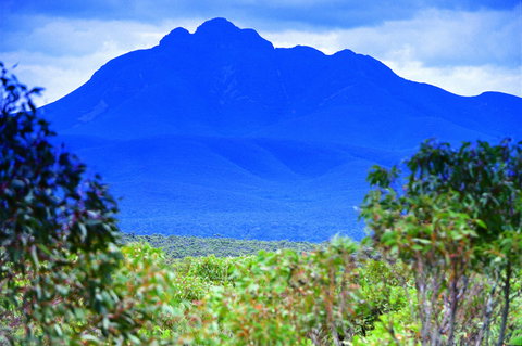 Borden - Surfers Gold Coast 1