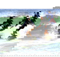 Broadbeach Surf School - Surfers Gold Coast