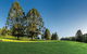 Bunya Mountains National Park - thumb 0