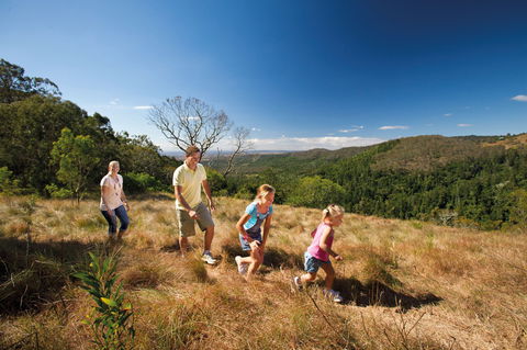 Bunya Mountains National Park - Surfers Gold Coast 2