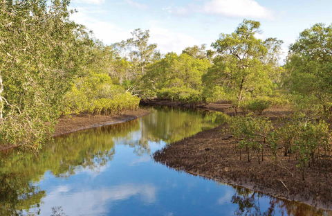 Canoe Evans River Paddle Route - Surfers Gold Coast 0