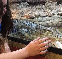 Canberra Reptile Zoo - Surfers Gold Coast