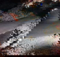 Coral Gardens - Surfers Gold Coast