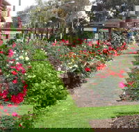 Cowra Rose Garden - Surfers Gold Coast