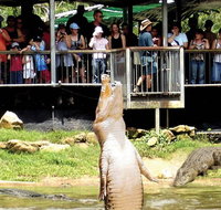 Crocodylus Park and Zoo - Surfers Gold Coast