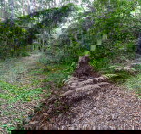 Double Wharf Trail - Surfers Gold Coast
