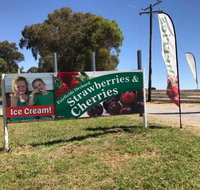 Fairfield Orchard - Surfers Gold Coast