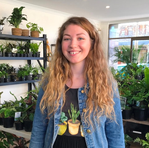 Fancy Plants - Surfers Gold Coast 2
