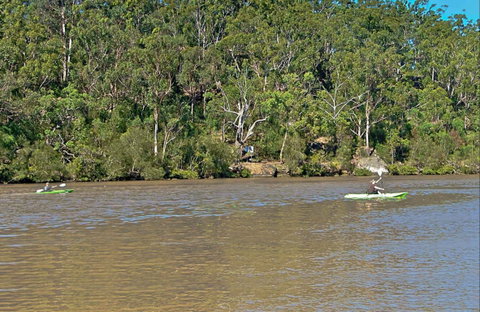 Fitzpatrick Park - Surfers Gold Coast 0