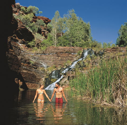 Fortescue Falls - Surfers Gold Coast 0
