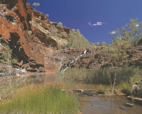 Fortescue Falls - Surfers Gold Coast 1