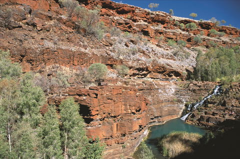 Fortescue Falls - Surfers Gold Coast 2