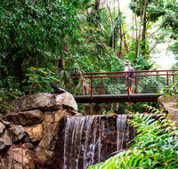 George Brown Darwin Botanic Gardens - Surfers Gold Coast