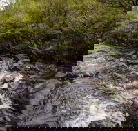 Gloucester River walking track - Surfers Gold Coast