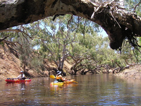 Greenough River Nature Trail - Surfers Gold Coast 1