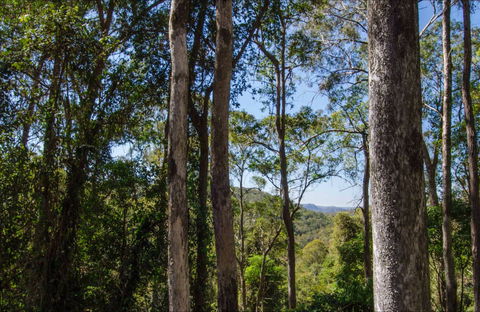 Hidden Treasure Picnic Area - Surfers Gold Coast 0