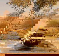 Innamincka Regional Reserve - Surfers Gold Coast