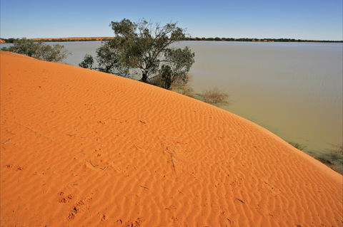 Innamincka Regional Reserve - Surfers Gold Coast 1