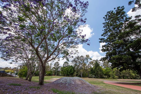 John Scott Park - Surfers Gold Coast 0