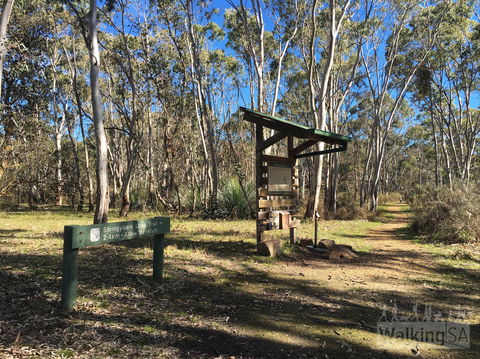 Kaiserstuhl Conservation Park - Surfers Gold Coast 0