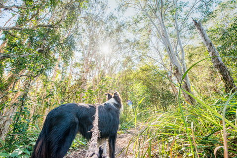 Lamb Island (Nguderoo) - Surfers Gold Coast 1