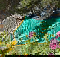 Living Legends The International Home of Rest for Champion Horses - Surfers Gold Coast