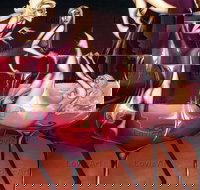 Loviz Arts Gallery - Surfers Gold Coast