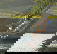 Lovedale - Surfers Gold Coast