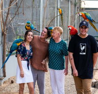 Maleny Botanic Gardens and Bird World - Surfers Gold Coast