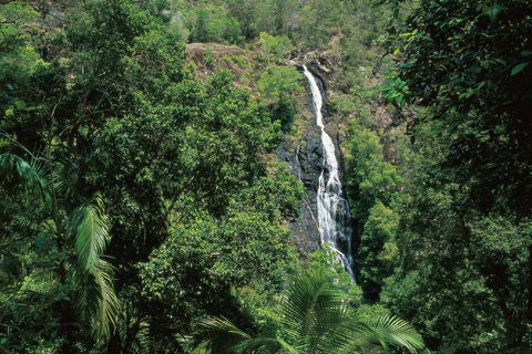 Mapleton Falls National Park - Surfers Gold Coast 0