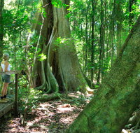 Mary Cairncross Scenic Reserve - Surfers Gold Coast