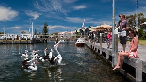 Metung VIC Surfers Gold Coast