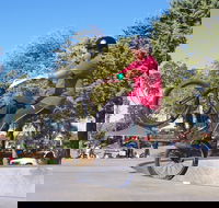 Millicent Skatepark - Surfers Gold Coast