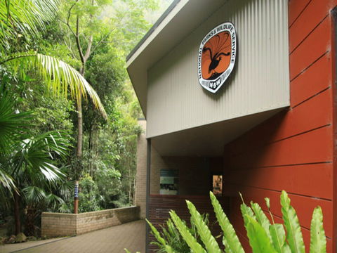 Minnamurra Rainforest Centre: Budderoo National Park - Surfers Gold Coast 0
