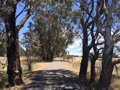 Mokoan Discovery Trail - Surfers Gold Coast 1