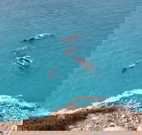 Nullarbor National Park - Surfers Gold Coast